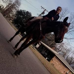 Meet your Posher, Jaimie